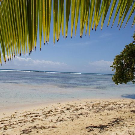 Lelagon Vue Mer, Pieds Dans L'Eau Saint-Francois  Exterior foto