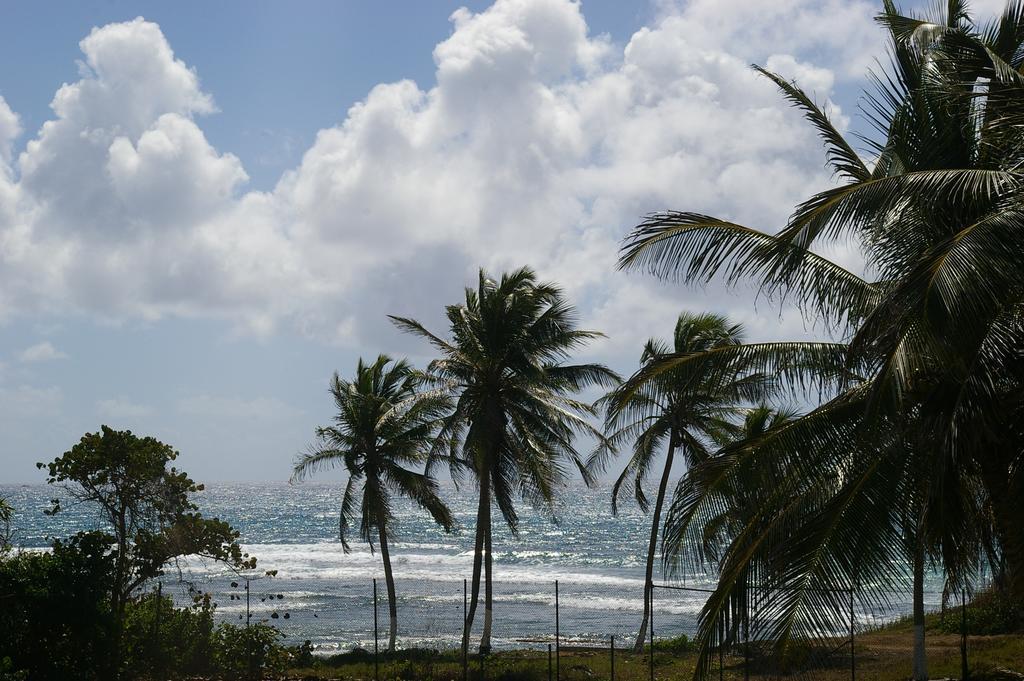 Lelagon Vue Mer, Pieds Dans L'Eau Saint-Francois  Exterior foto