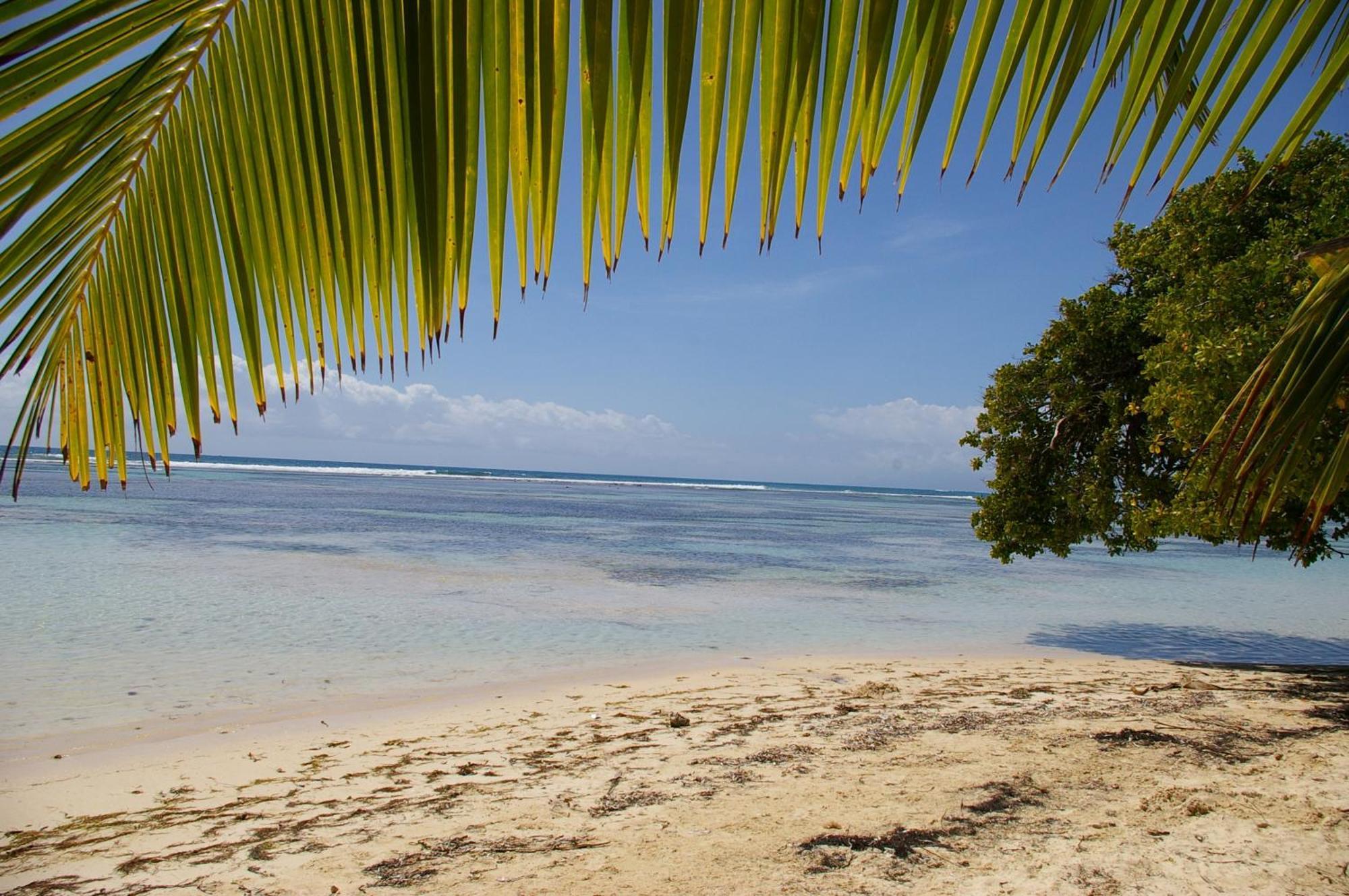 Lelagon Vue Mer, Pieds Dans L'Eau Saint-Francois  Exterior foto